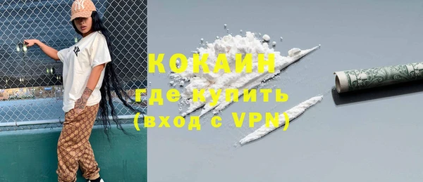 индика Инсар