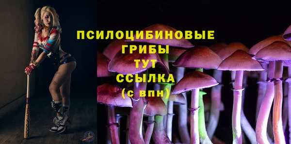 мяу мяу мука Иннополис