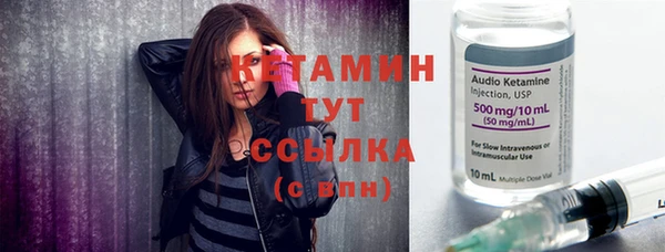 индика Инсар