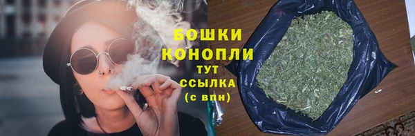 индика Инсар