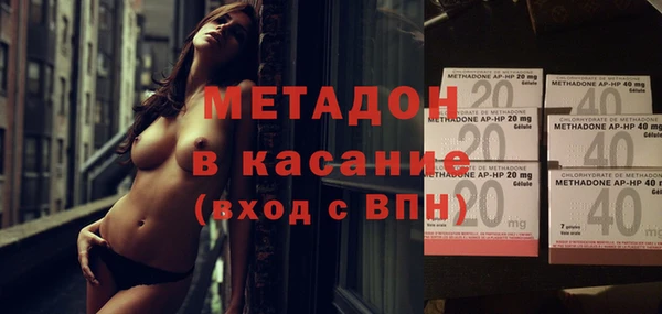 индика Инсар