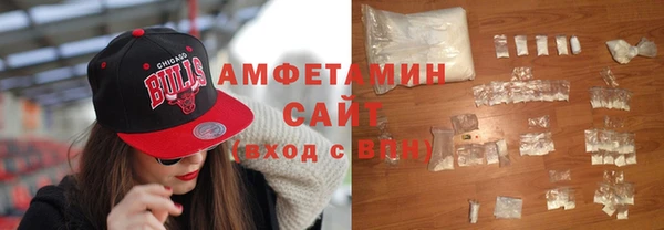 индика Инсар
