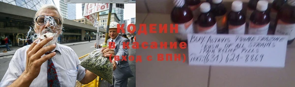 индика Инсар