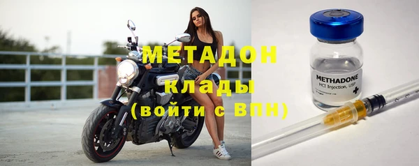 индика Инсар