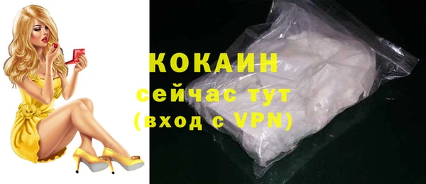 мяу мяу мука Иннополис
