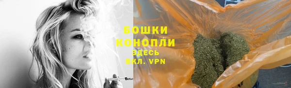 мяу мяу мука Иннополис