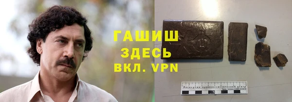 индика Инсар