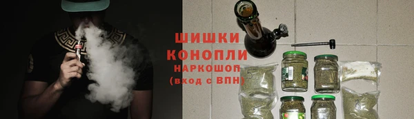 мяу мяу мука Иннополис