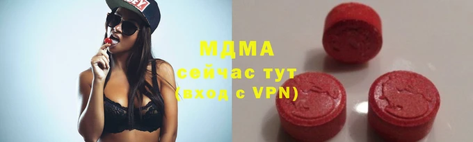 мяу мяу мука Иннополис