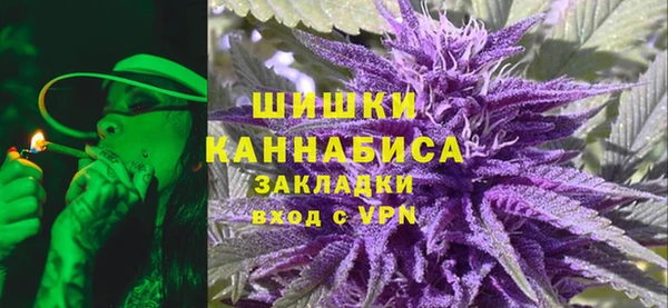 индика Инсар