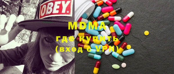 индика Инсар