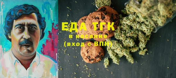 индика Инсар
