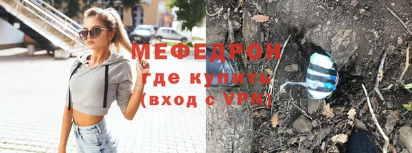 индика Инсар