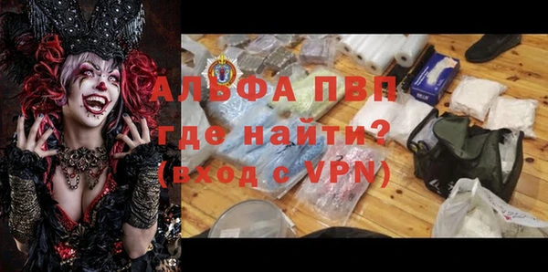 индика Инсар