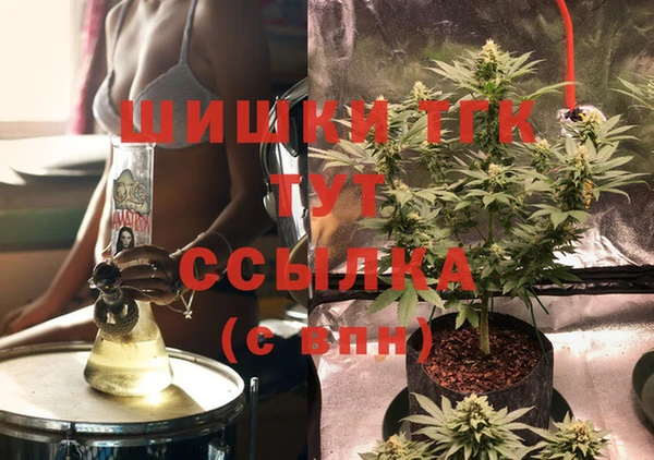 индика Инсар
