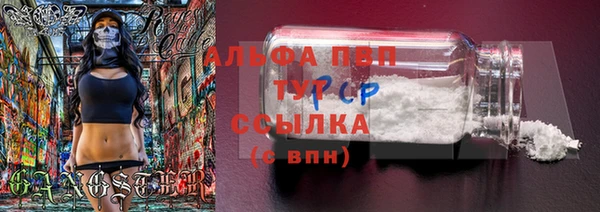 мяу мяу мука Иннополис