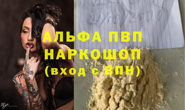индика Инсар