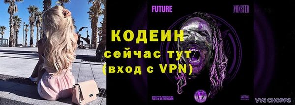индика Инсар