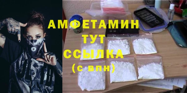 индика Инсар