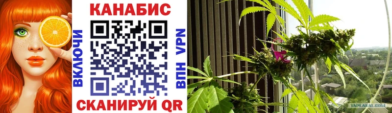 Купить  Вихоревка  МАРИХУАНА SATIVA & INDICA 